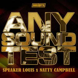 Any Sound Test