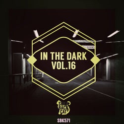 In the Dark, Vol. 16