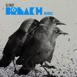 DJ Cra$y (BrEaCh Remixes)