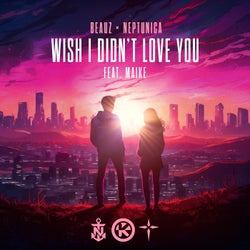 Wish I Didn't Love You (Extended Mix)