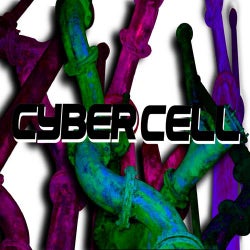 Cyber Cell