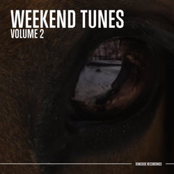 Weekend Tunes (Volume 2)