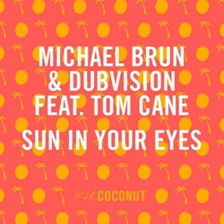 Sun in Your Eyes feat. Tom Cane