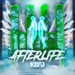 Afterlife