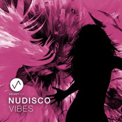 Nudisco Vibes, Vol. 3