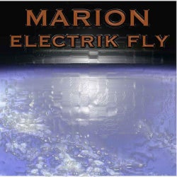 Electrik Fly