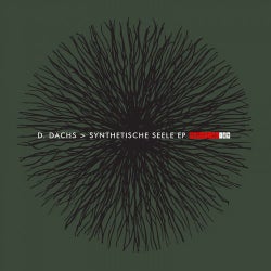 Synthetische Seele EP