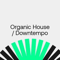 The August Shortlist: Organic H/D