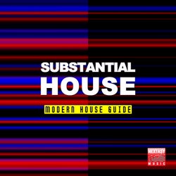 Substantial House (Modern House Guide)