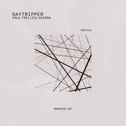 Daytripper