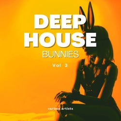 Deep-House Bunnies, Vol. 3