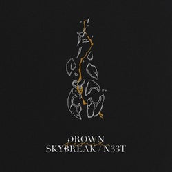 Drown (Skybreak, N33T Remix)