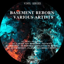 BASEMENT REBORN VINYL 01