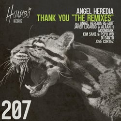 Thank You "the Remixes"