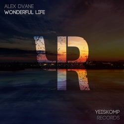 Wonderful Life