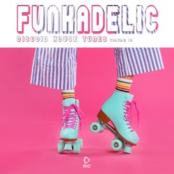 Funkadelic Vol. 13