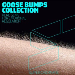 Goose Bumps Collection