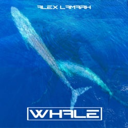 Whale