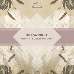 Pillow Fight