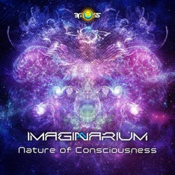 Nature of Consciousness