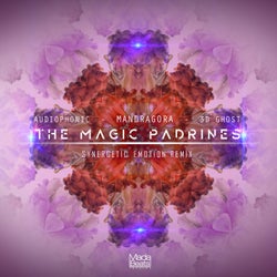 The Magic Padrines (Synergetic Emotion Remix)