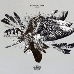 Sommer-Leiter A Side