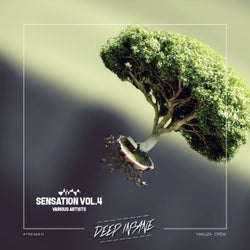 Deep Insane Sensation, Vol. 4