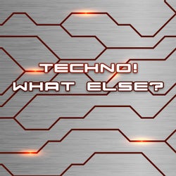 Techno! What Else?