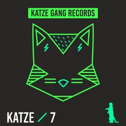 Katze 7