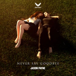 Never Say Goodbye