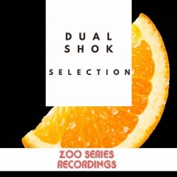 DUAL SHOK SELECTION