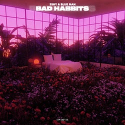 Bad Habits (Extended Mix)