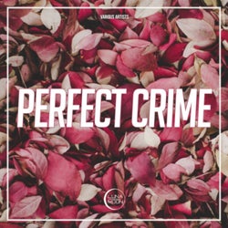 Perfect Crime