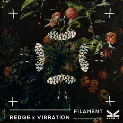 Filament