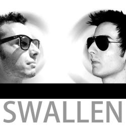 Swallen November 2011 Chart