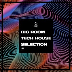 Big Room Tech House Selection #1