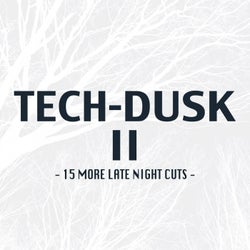 Tech-Dusk, Vol. 2: 15 More Late Night Cuts