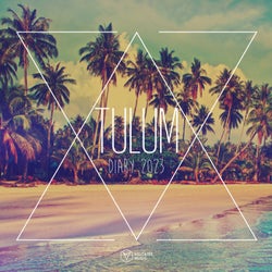 Voltaire Music pres. The Tulum Diary 2023