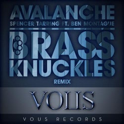 Avalanche (The Remixes)