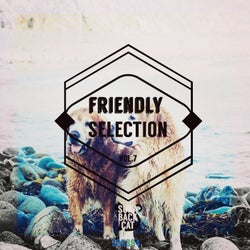 Friendly Selection, Vol. 7