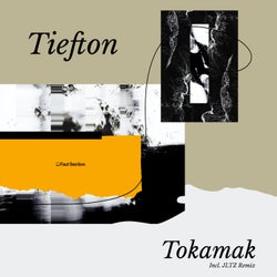 Tokamak