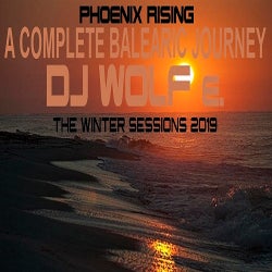 DJ WOLF e's TOP TEN TRACKS of JANUARY 2019