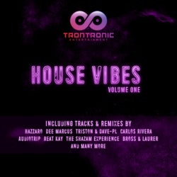 House Vibes, Vol. 1