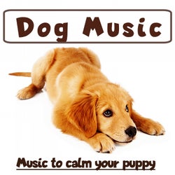 Dog Music:  Music to Calm Your Puppy