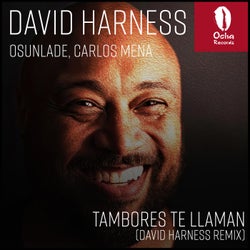 Tambores Te Llaman (David Harness Remix)