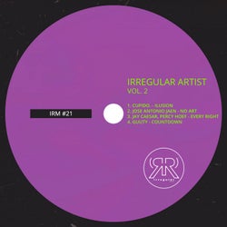 Irregular Artist Vol. 2