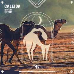 Caleida