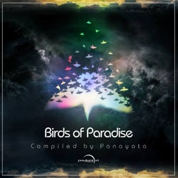 Birds Of Paradise