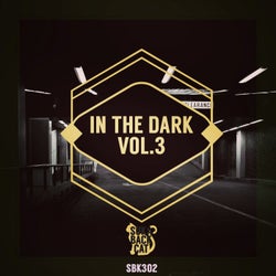 In the Dark, Vol.3