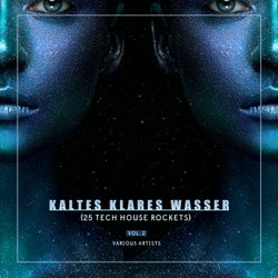 Kaltes Klares Wasser, Vol. 2 (25 Tech House Rockets)